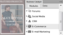  Business Catalyst  Dreamweaver